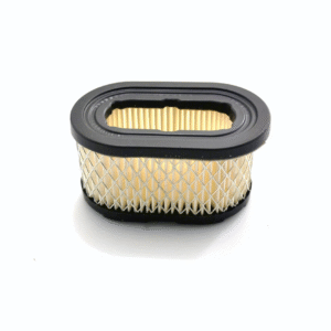 Air Filter Briggs & Stratton OEM 497725S 494586